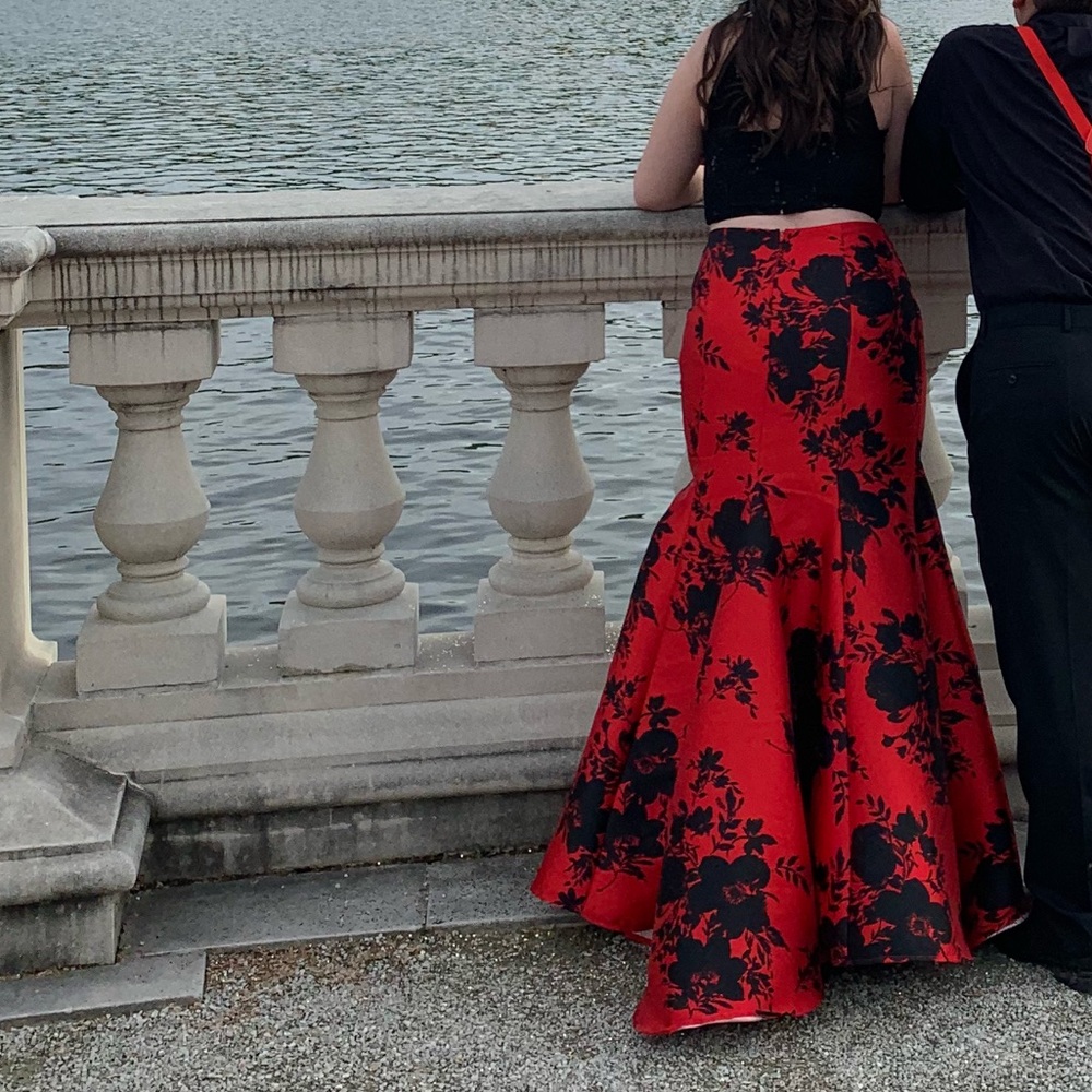 Prom Dress - Picture 4 of 4